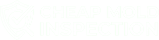 Cheapmoldinspection